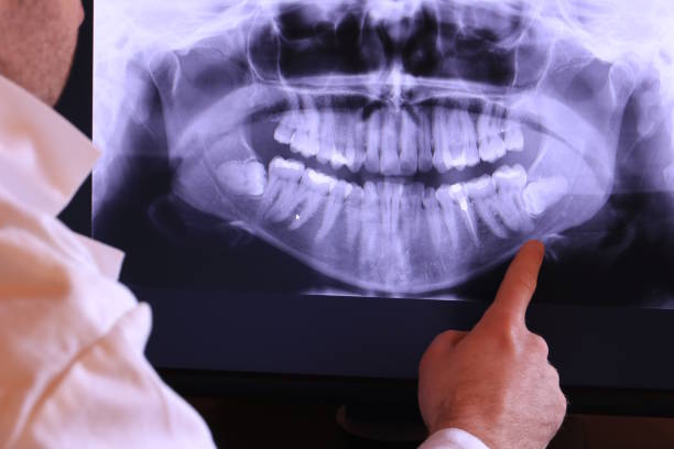 Best Emergency X-Rays and Diagnostics in Harriman, NY